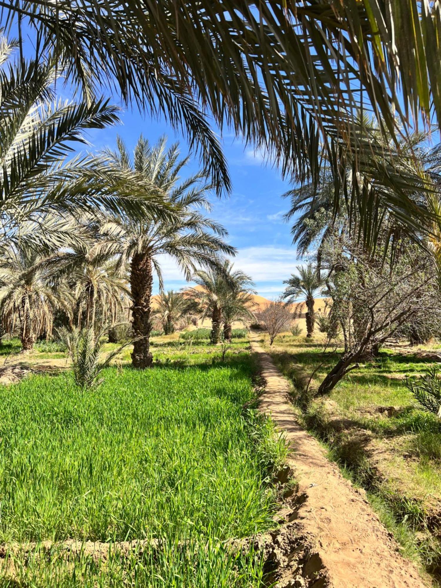 Amskou Luxury Desert Camp Merzouga Exteriér fotografie